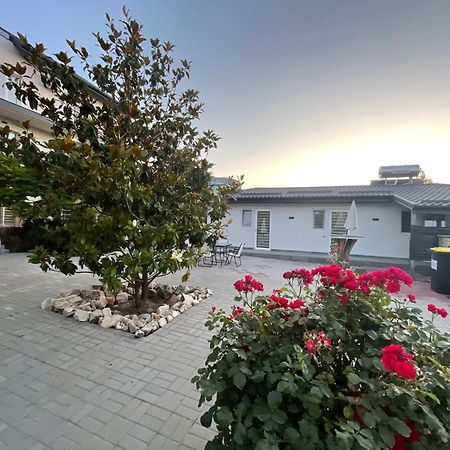 Dekor Hotel Costinesti Luaran gambar